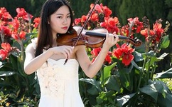 蜡笔物理学小游戏